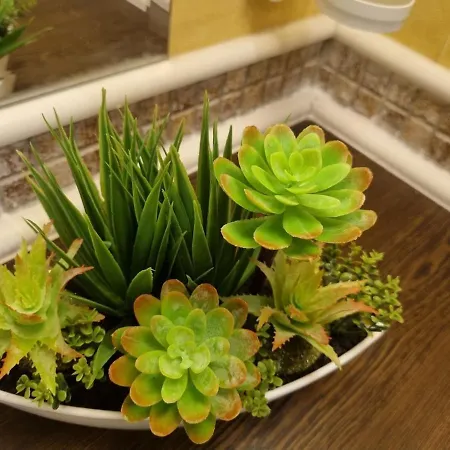 Royal Sea G Apartment *